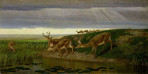 Deer on the Prairie, 1884, William Holbrook Beard