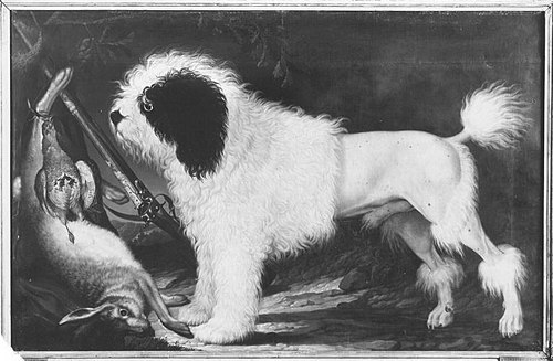 Weißer Pudel mit Jagdbeute, , Kaspar Pitz