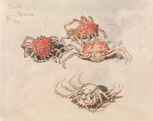 Studies of Spider Crabs, Venice, 1874, Myles Birket Foster