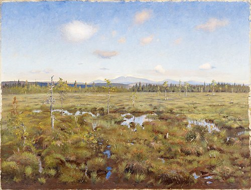 Landscape from Lapland, 1892, Torsten Wasastjerna