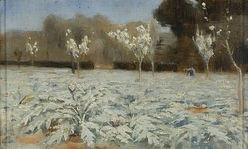 Artichokes, Hyères, 1883, Norman Garstin