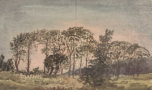 Landscape with trees, , David Charles Read