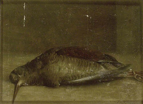 Woodcock from Nature, 1851, David Charles Read