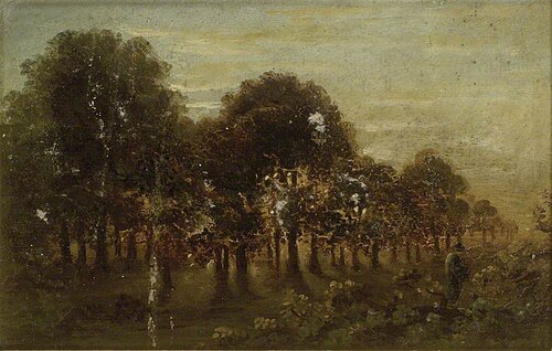Moonlight, , David Charles Read