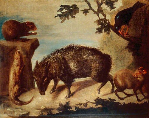 A Group of Animals, 1778, Jan van Rijmsdyck
