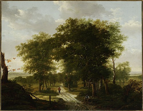 Forest landscape., 1830, Kazimierz Żwan