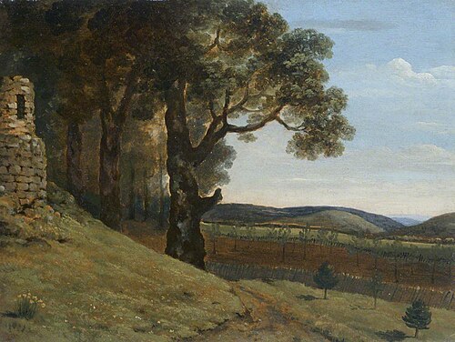 Field near Pencerrig, 1776, Thomas Jones