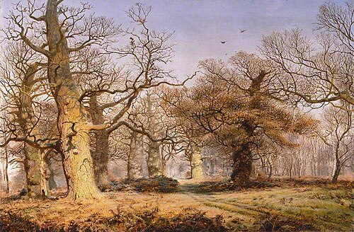 Oak Trees in Sherwood Forest, 1877, Andrew MacCallum