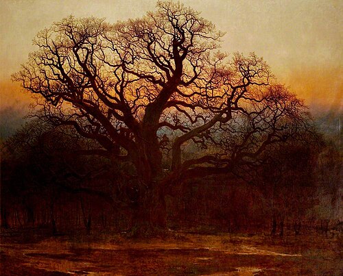 Major Oak, Sherwood Forest, Nottinghamshire, 1882, Andrew MacCallum