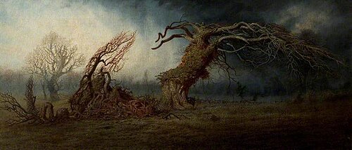 The Blasted Tree, , Andrew MacCallum