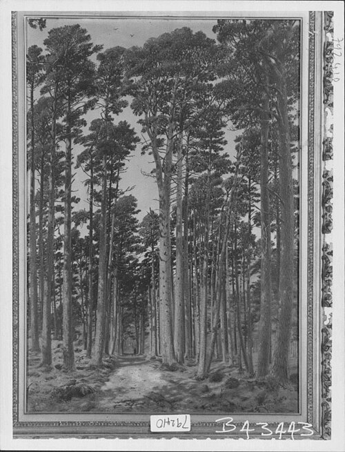 The Ballochbuie Forest, 1876, Andrew MacCallum