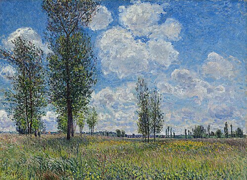 Prairie de Veneux-Nadon, 1881, Alfred Sisley
