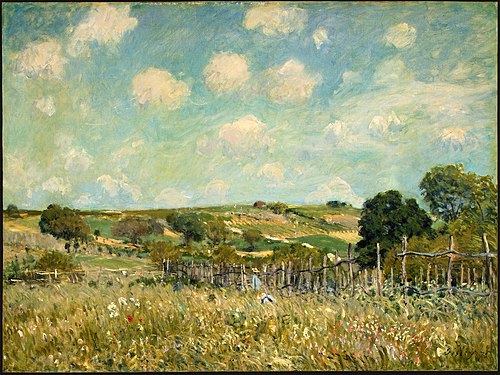 Meadow, 1875, Alfred Sisley