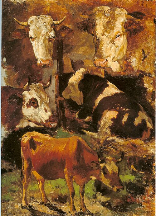Cows, study, 1879, Friedrich Eckenfelder