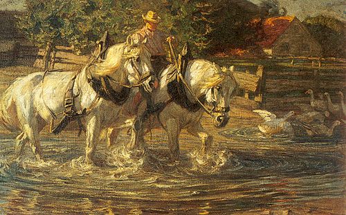 Zwei Schimmel in der Schwemme, 1909, Friedrich Eckenfelder