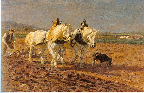 Zwei pflügende Schimmel, , Friedrich Eckenfelder