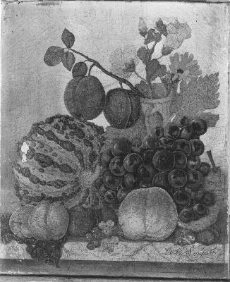 Vruchten, 1816, Diëgo Lopez Suasso