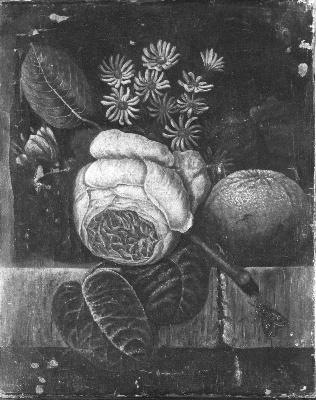 Bloemen, 1826, Diëgo Lopez Suasso