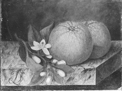 Oranje appelen, 1826, Diëgo Lopez Suasso