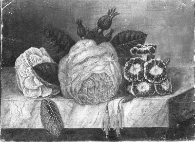 Bloemen, 1827, Diëgo Lopez Suasso