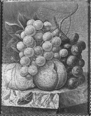 Vruchten, 1826, Diëgo Lopez Suasso