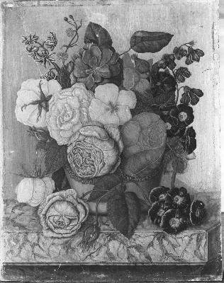 Bloemen, 1826, Diëgo Lopez Suasso