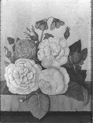 Bloemen, 1817, Diëgo Lopez Suasso