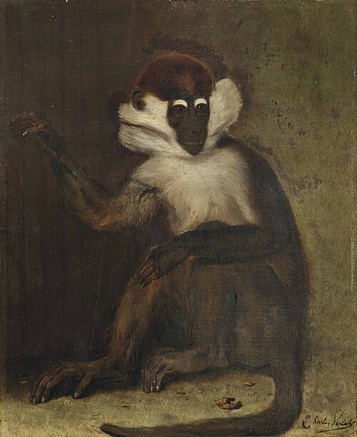 A macaque, 1850, Charles Verlat