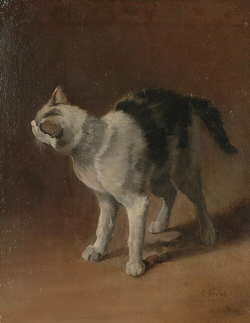 Study of a black and white cat, 1850, Charles Verlat