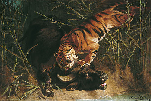 Buffle surpris par un tigre, 1853, Charles Verlat
