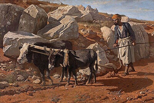 Plough Ox and Mule with Fellah, 1876, Charles Verlat