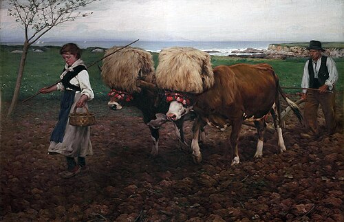 Plowing the land (Asturias), 1910, Ventura Alvarez Sala