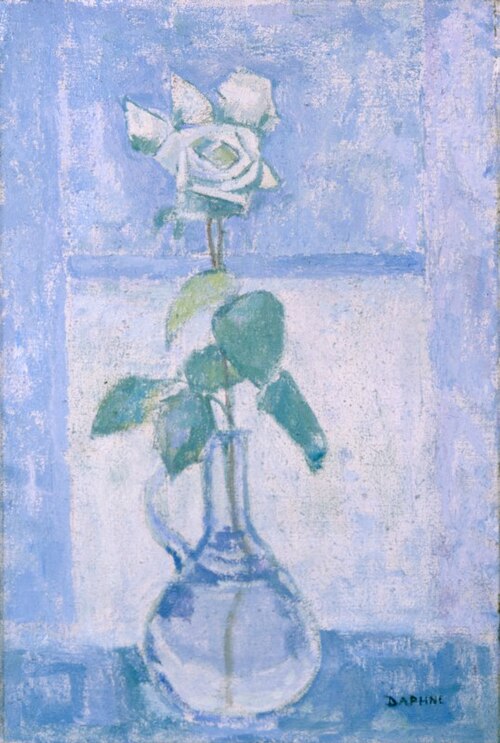White rose, 1955, Daphne Casorati Maugham