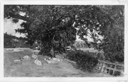 Ruhende Schafe im Schatten eines Baumes, 1893, Alexander Brownlie Docharty