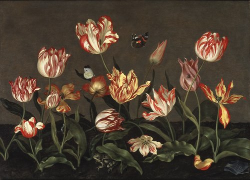 Still Life with Tulips, 1628, Johannes Bosschaert