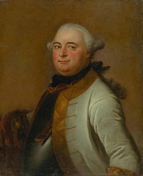 Portrait of Field Marshal Mikuláš Mednyánszky, 1761, Daniel Woge