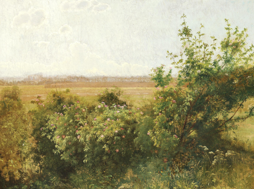 Wild roses., 1896, Vilhelm Kyhn