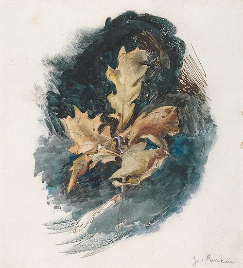 Study of an Oak Leaf, , John Ruskin