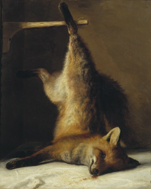 Dead Fox, 1848, Frants Diderik Bøe