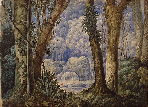 Selva brasileira, 1853, Manuel de Araújo Porto-alegre