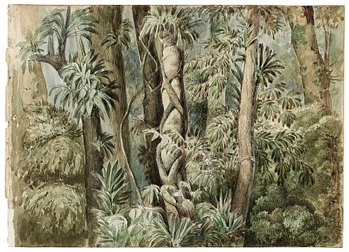 Wild forest, 1850, Manuel de Araújo Porto-alegre