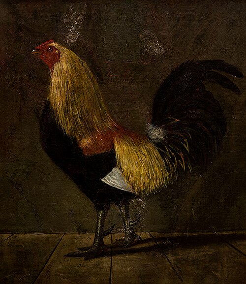 Rooster, 1868, Burr H. Nicholls