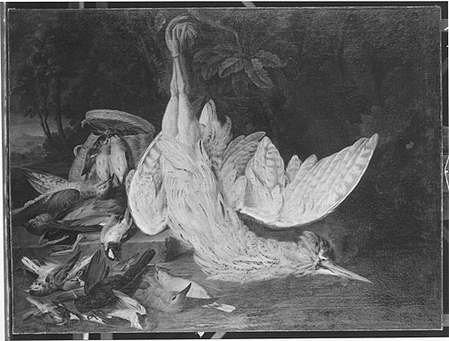 Totes Federwild, 1754, Jacob Xaver Vermoelen