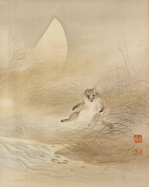 Tanuki (racoon) with Autumn Moon, 1873, Mori Kansai
