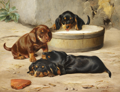 Dachshund puppies., 1866, Otto Bache