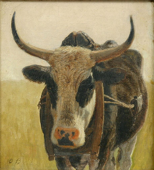 A black and white ox., 1892, Otto Bache