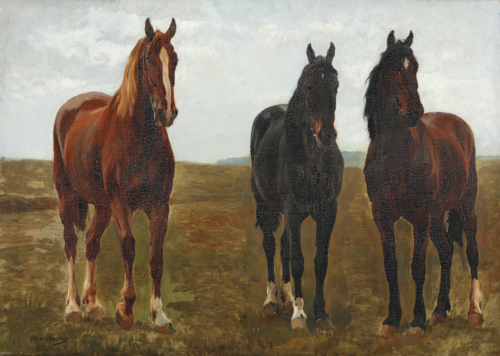 Three horses in a field., 1892, Otto Bache