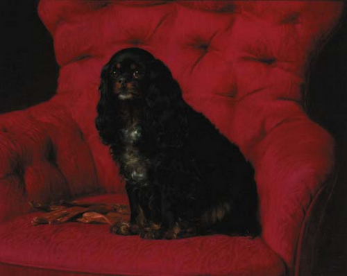 Cavalier King Charles Spaniel., 1892, Otto Bache