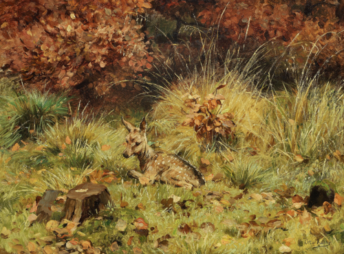 A deer lying in a forest., 1892, Otto Bache