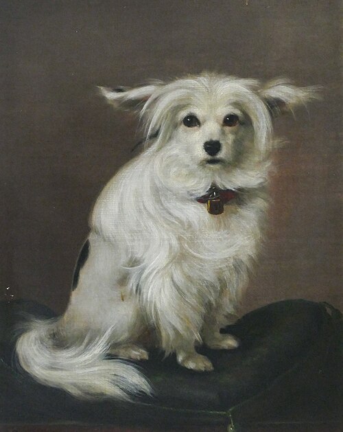 Della. Dog portrait., 1862, Otto Bache